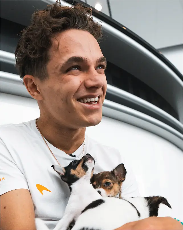 Lando Norris photo 6
